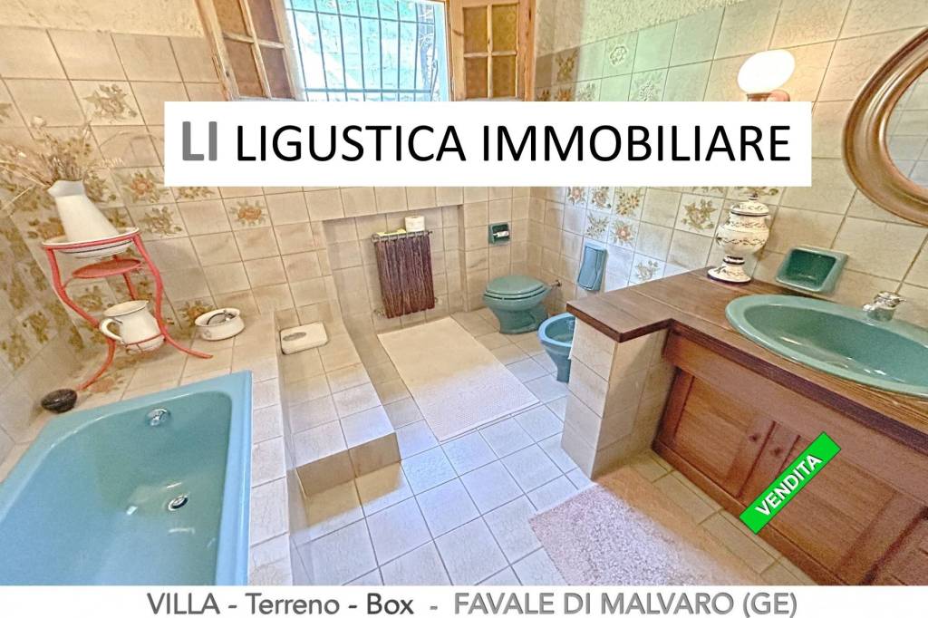 immagine annuncio 5 di 14