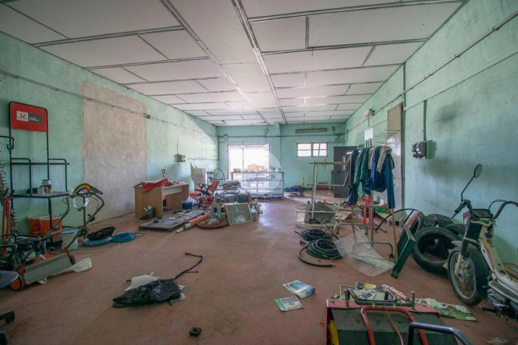 immagine annuncio 9 di 15