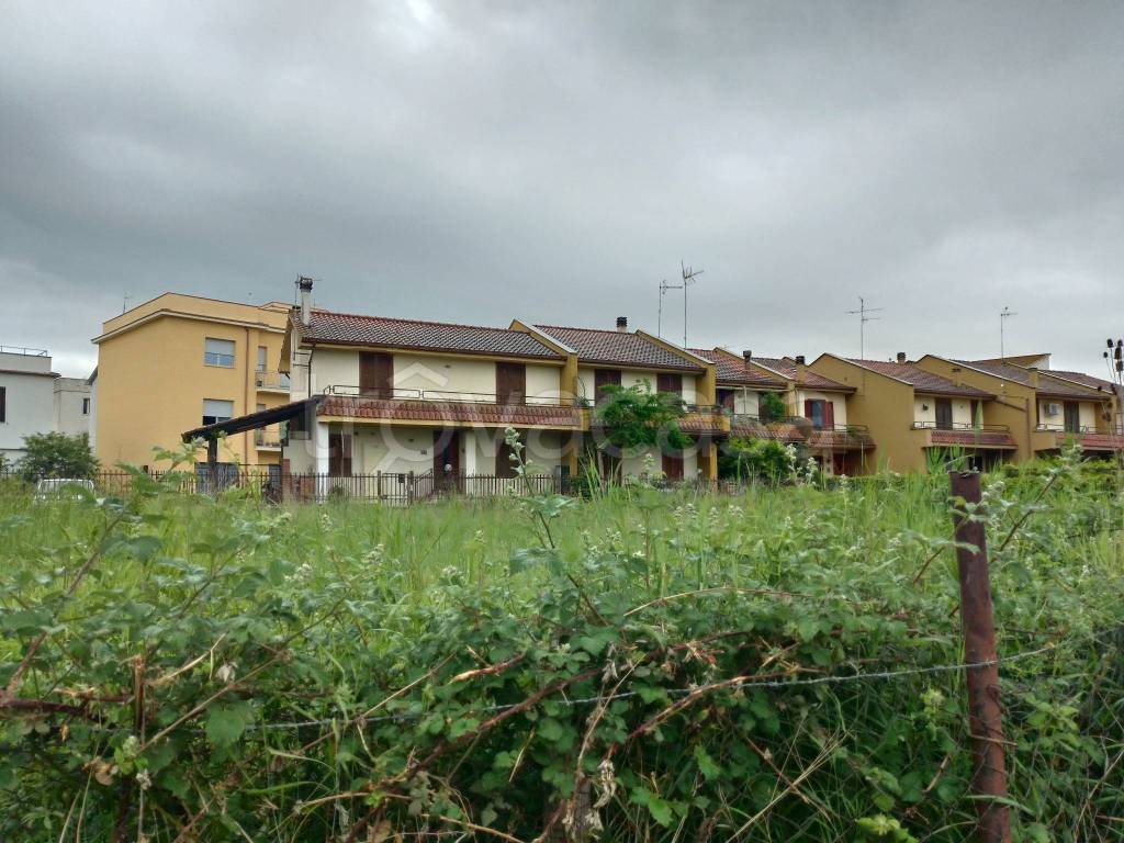 immagine annuncio 1 di 4