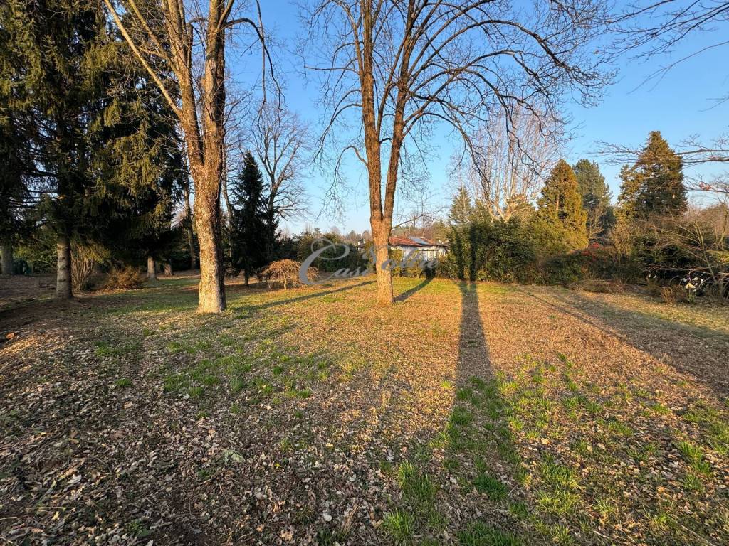 immagine annuncio 1 di 6