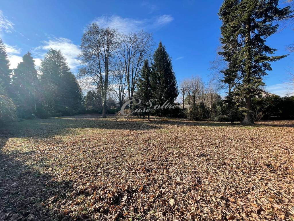 immagine annuncio 2 di 6