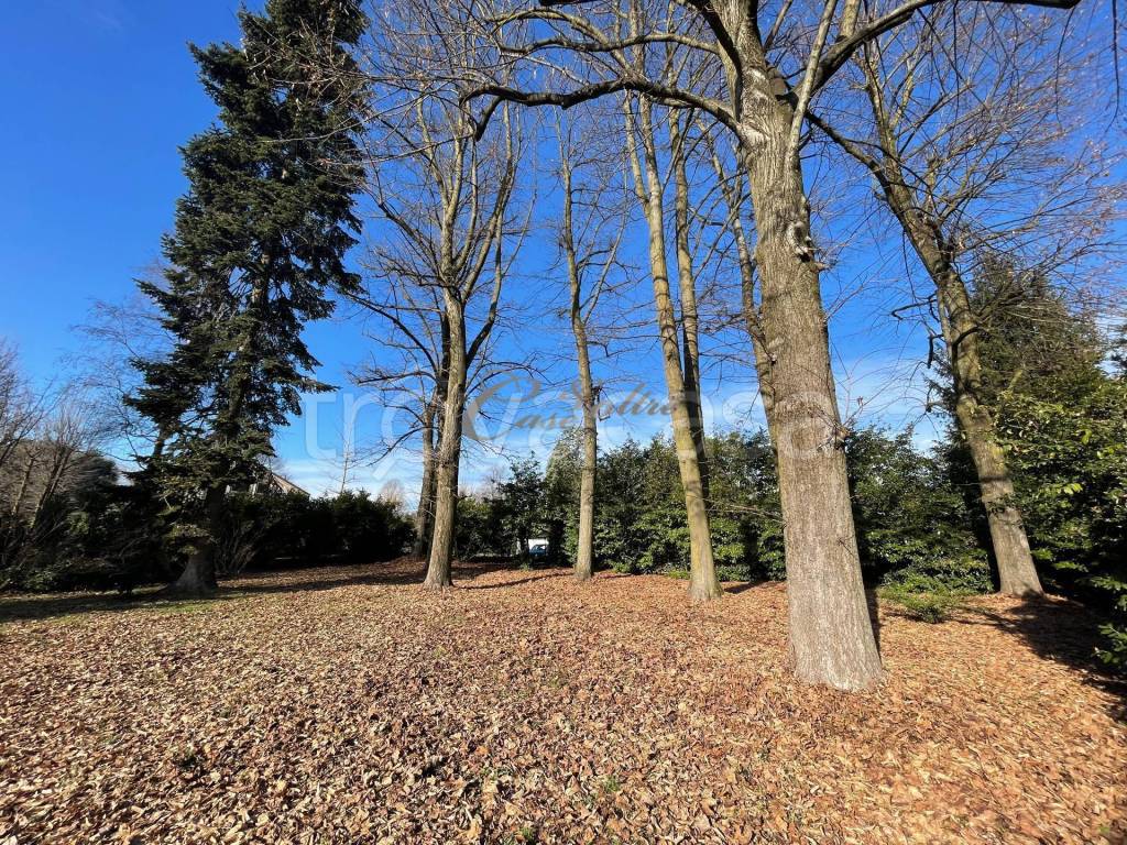 immagine annuncio 3 di 6