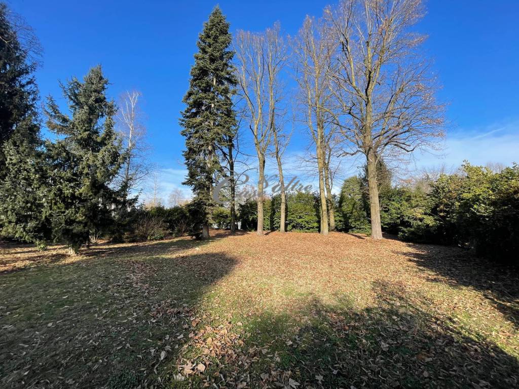 immagine annuncio 4 di 6