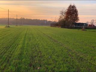 Terreno agricolo in affitto a carignano via principe di carignano