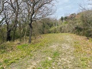 Terreno agricolo in vendita a monterotondo marittimo via dei griccioni