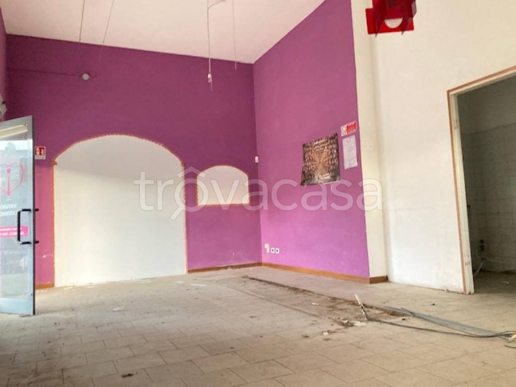 immagine annuncio 3 di 14