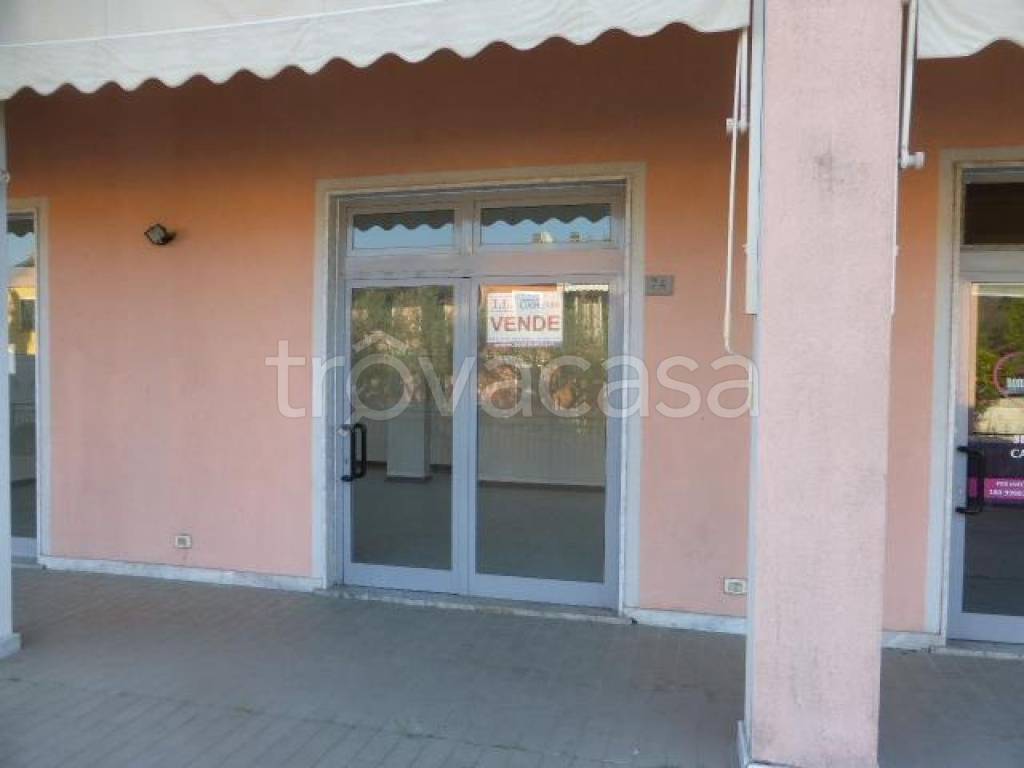 immagine annuncio 10 di 14