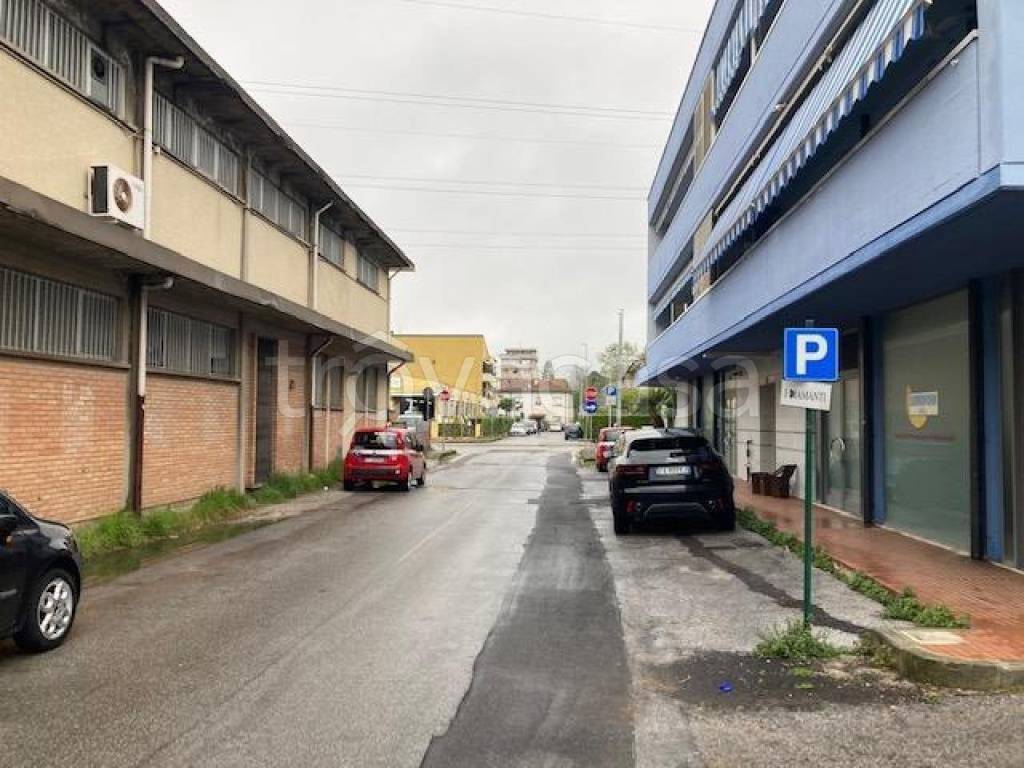 immagine annuncio 9 di 12