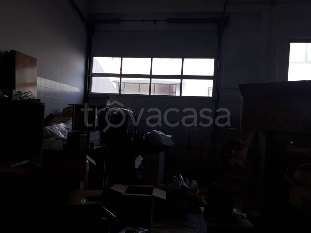 immagine annuncio 4 di 12