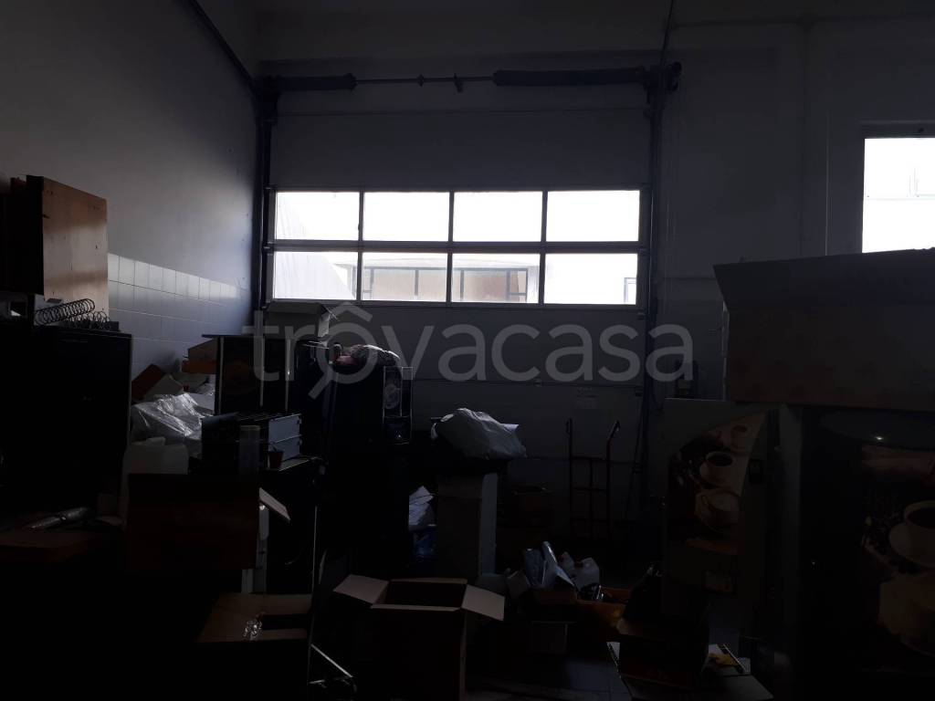 immagine annuncio 5 di 12