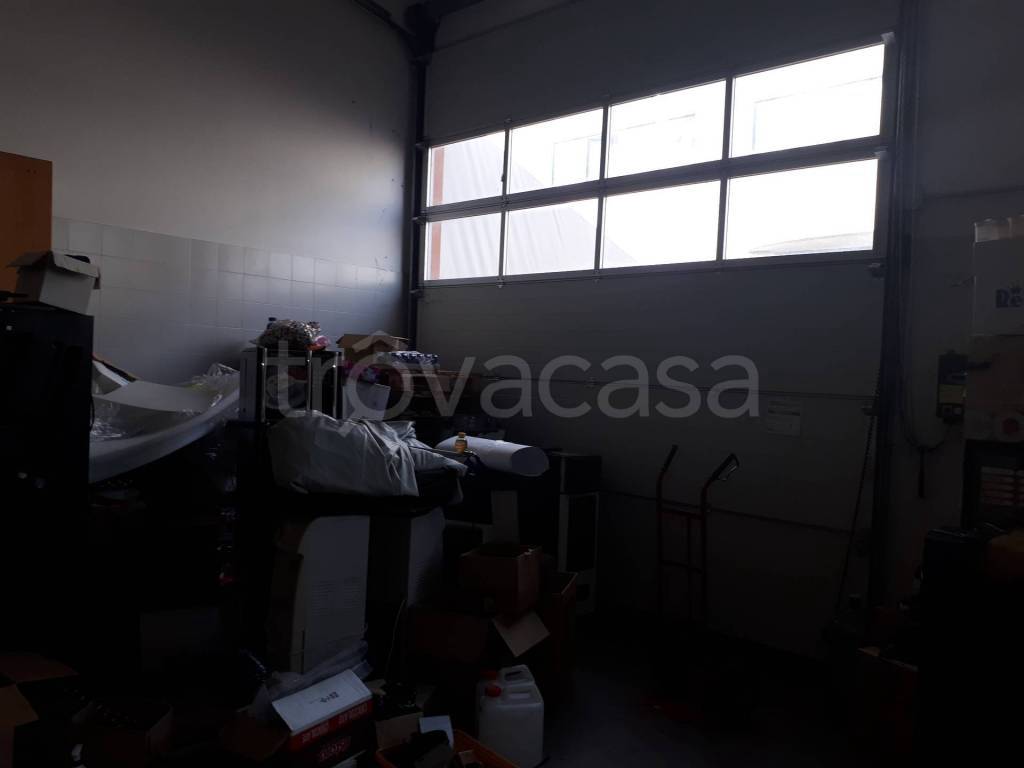 immagine annuncio 6 di 12