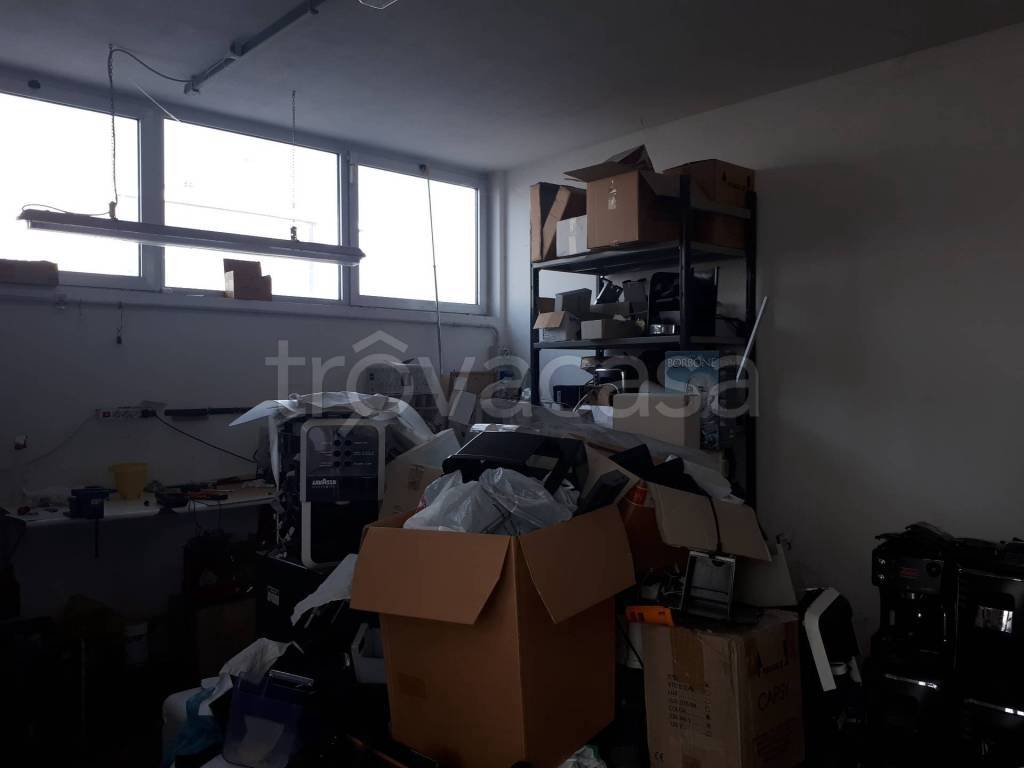 immagine annuncio 9 di 12