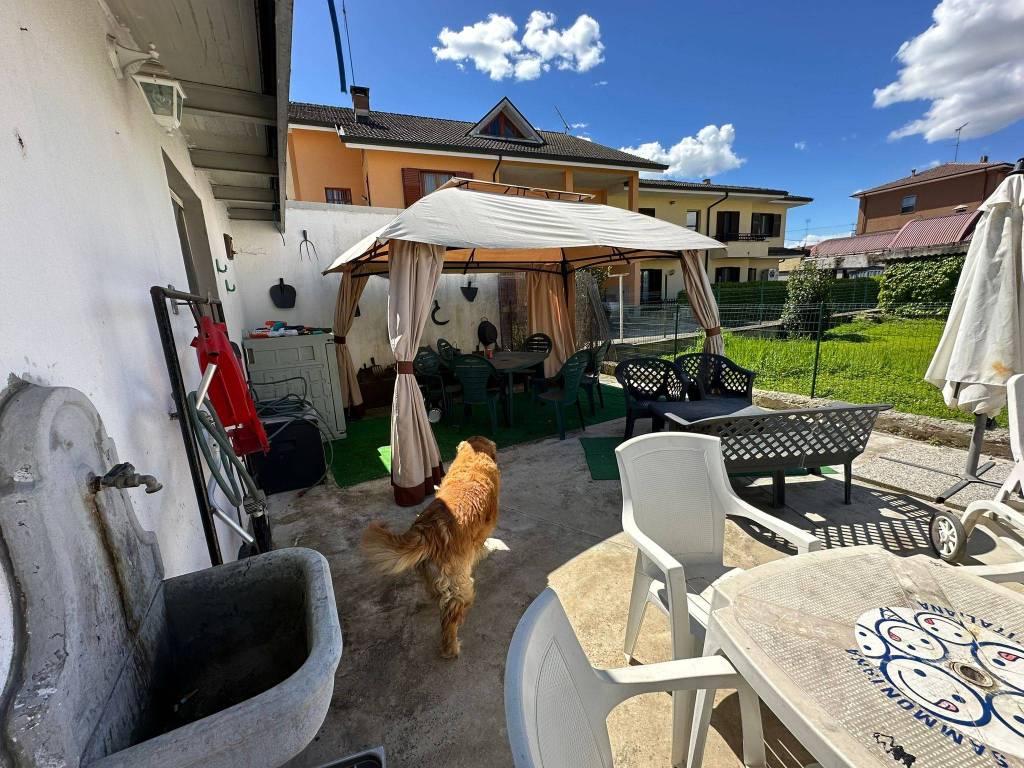 immagine annuncio 6 di 15