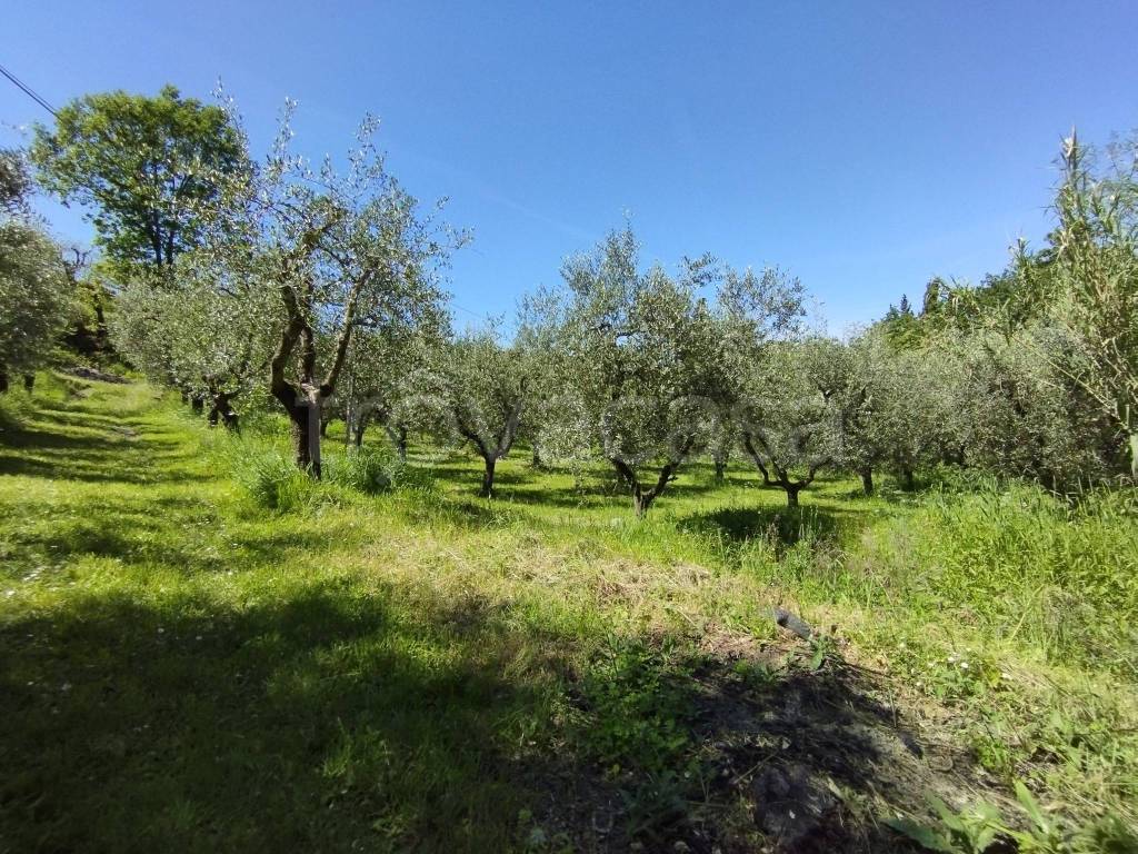 immagine annuncio 3 di 14