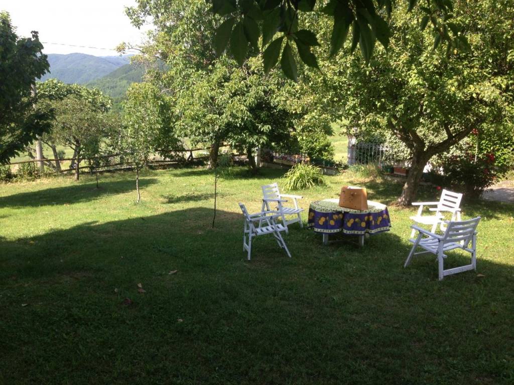 immagine annuncio 6 di 7