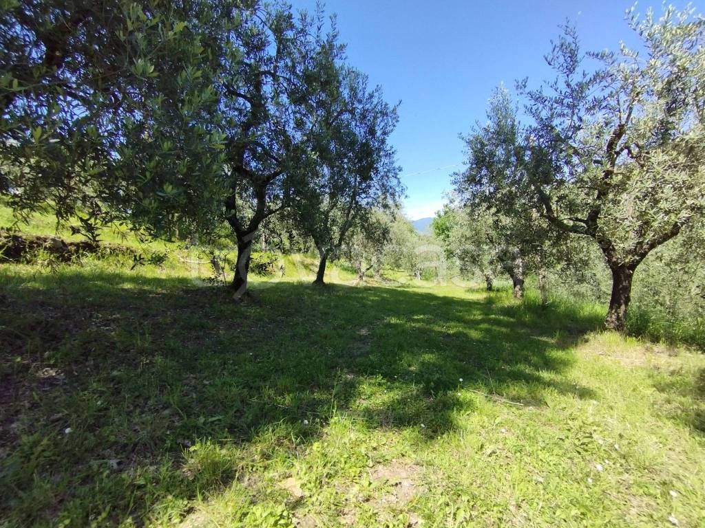 immagine annuncio 8 di 14