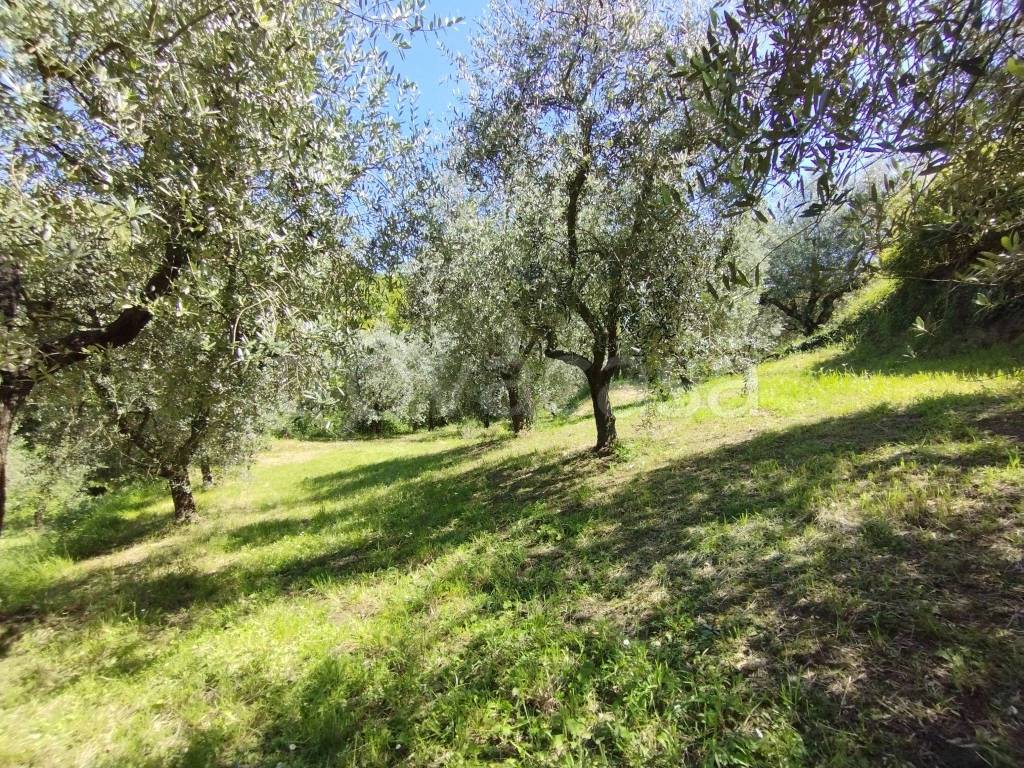immagine annuncio 9 di 14