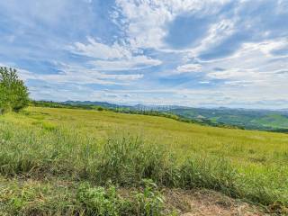 Terreno agricolo in vendita a ozzano dell'emilia via del pilastrino 9