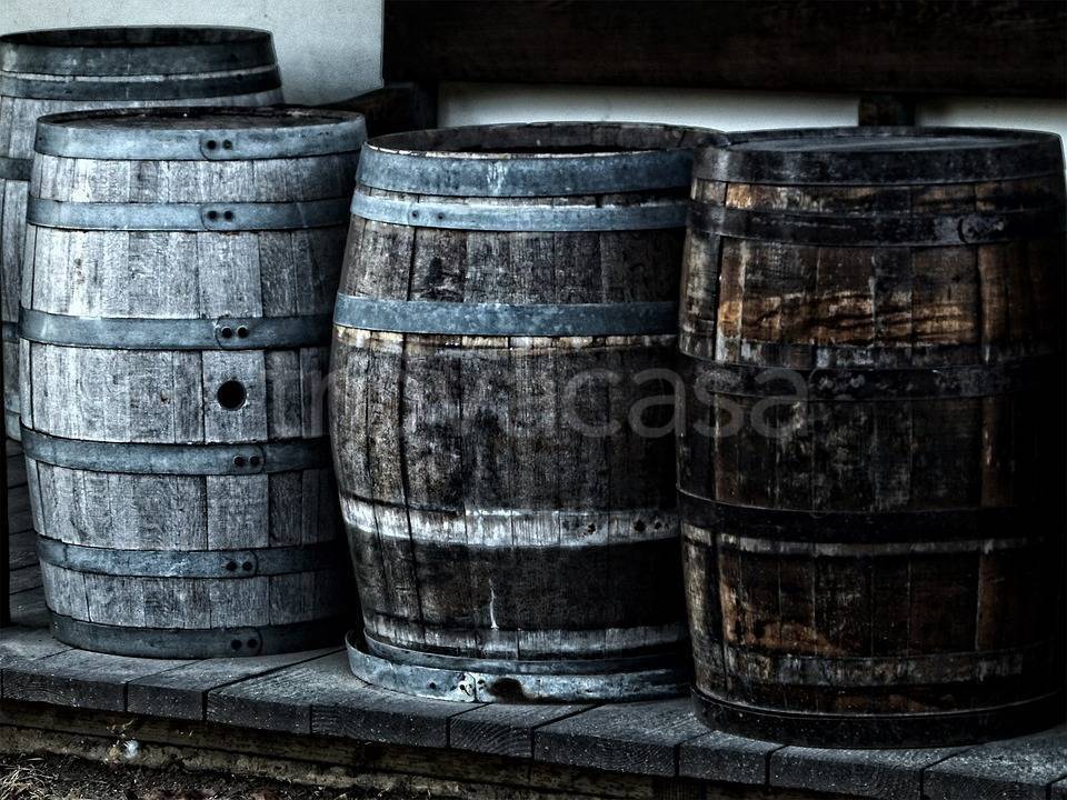 immagine annuncio 1 di 13