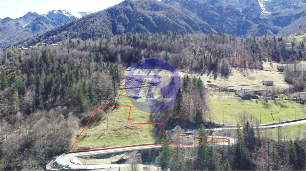 immagine annuncio 2 di 6