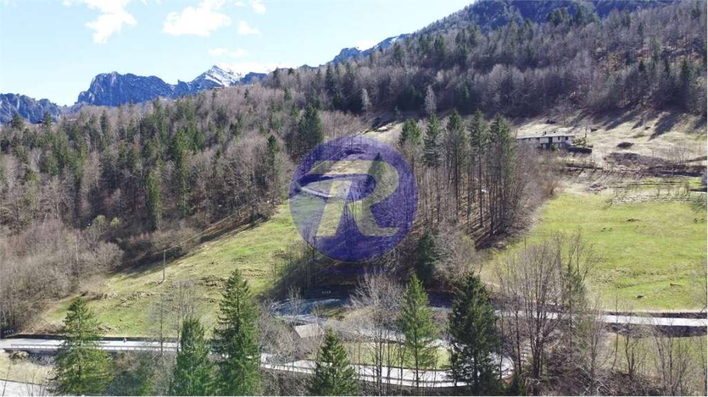 immagine annuncio 4 di 6