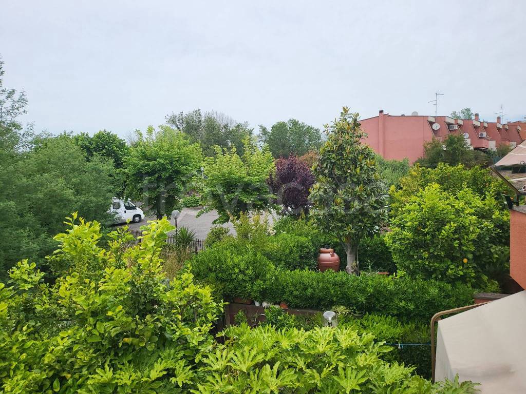 immagine annuncio 3 di 11