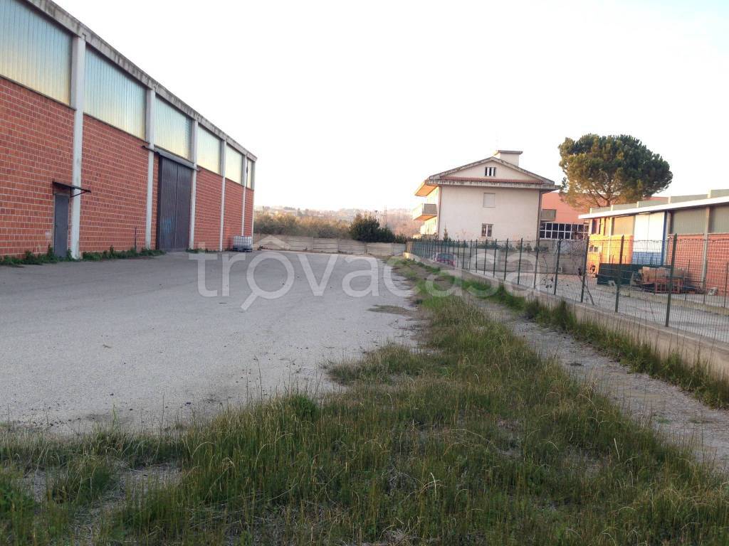 immagine annuncio 5 di 7