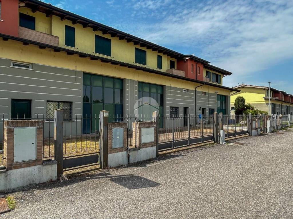 immagine annuncio 2 di 15