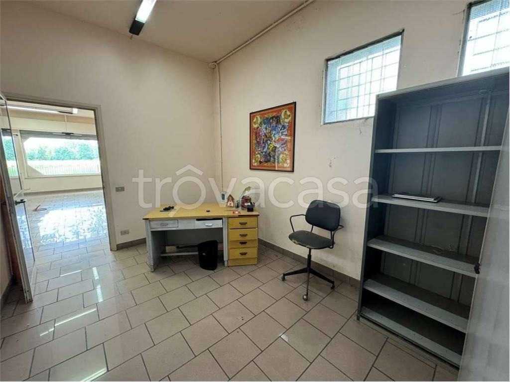 immagine annuncio 11 di 14