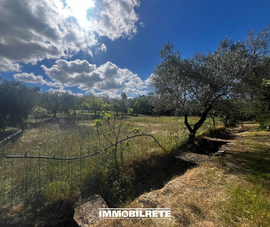 immagine annuncio 8 di 12