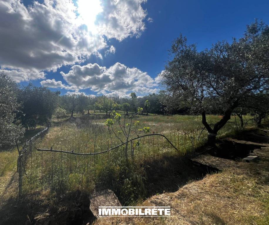 immagine annuncio 9 di 12