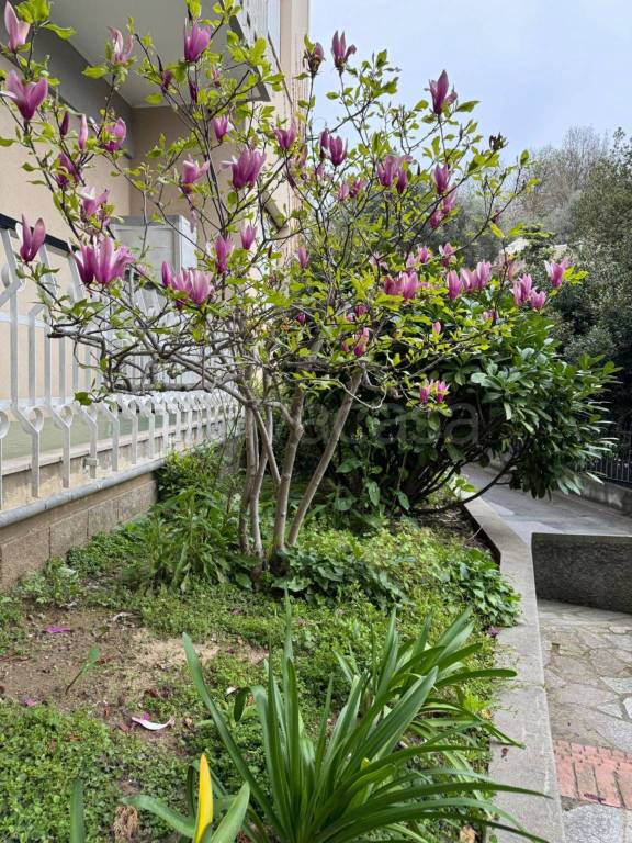 immagine annuncio 3 di 11