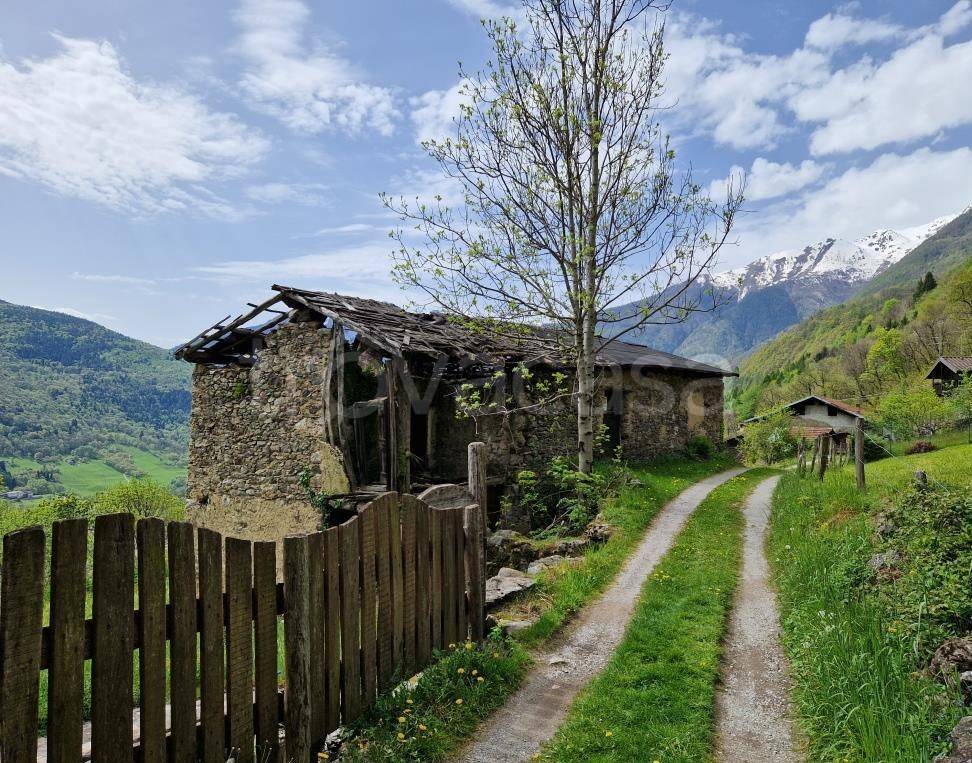 immagine annuncio 5 di 13