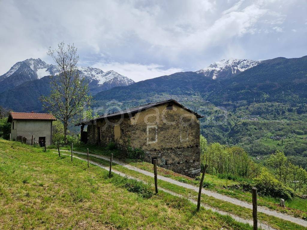 immagine annuncio 4 di 13