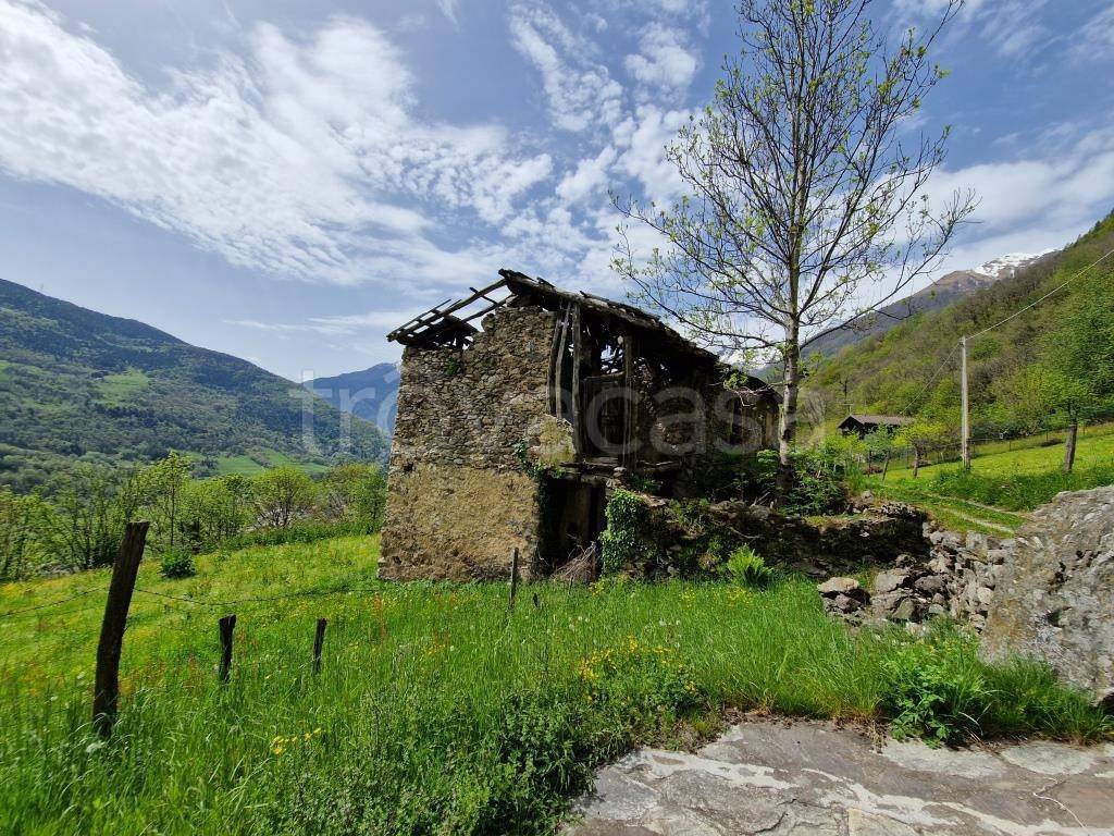 immagine annuncio 3 di 13