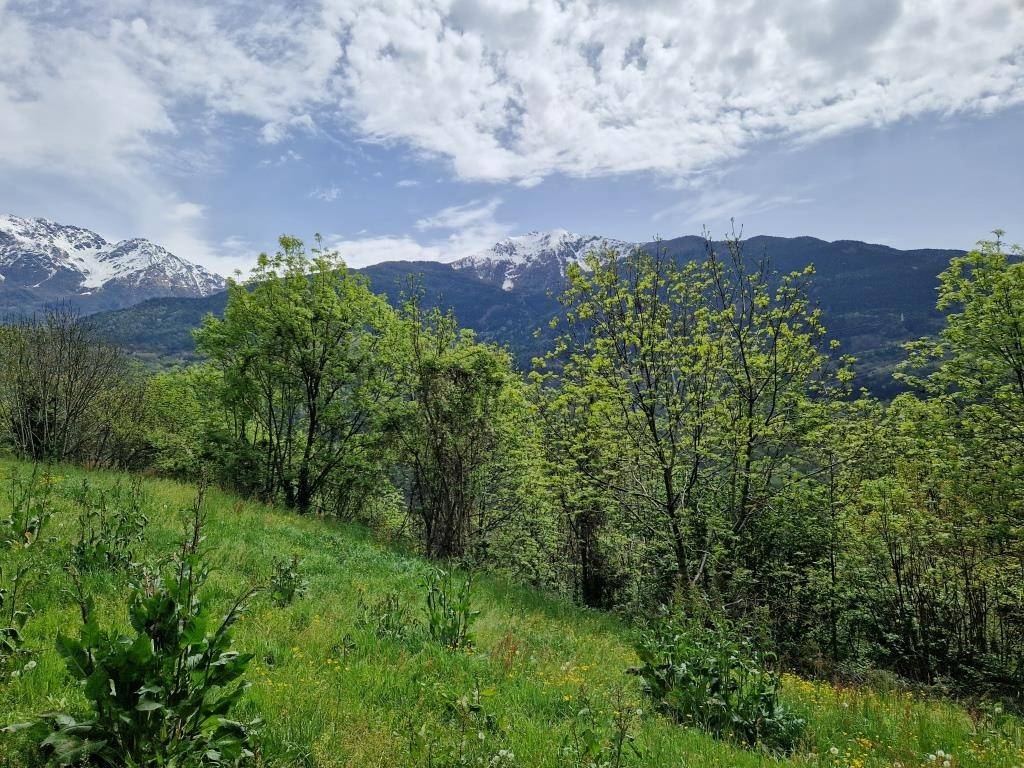 immagine annuncio 6 di 13