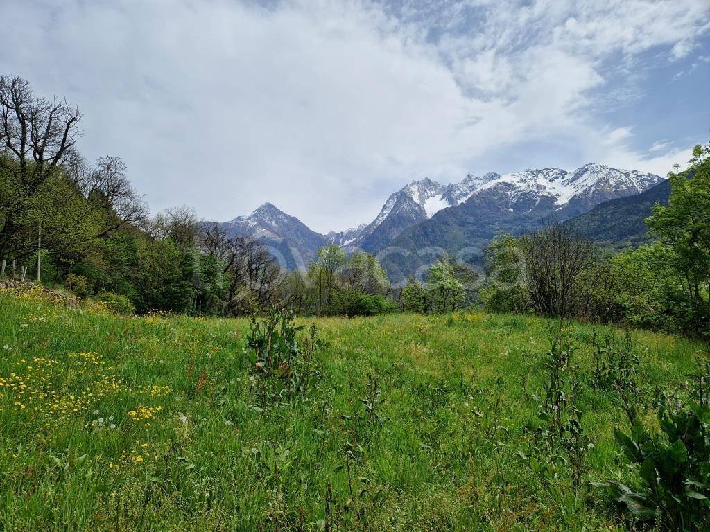 immagine annuncio 11 di 13