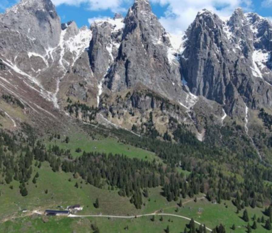 immagine annuncio 4 di 7