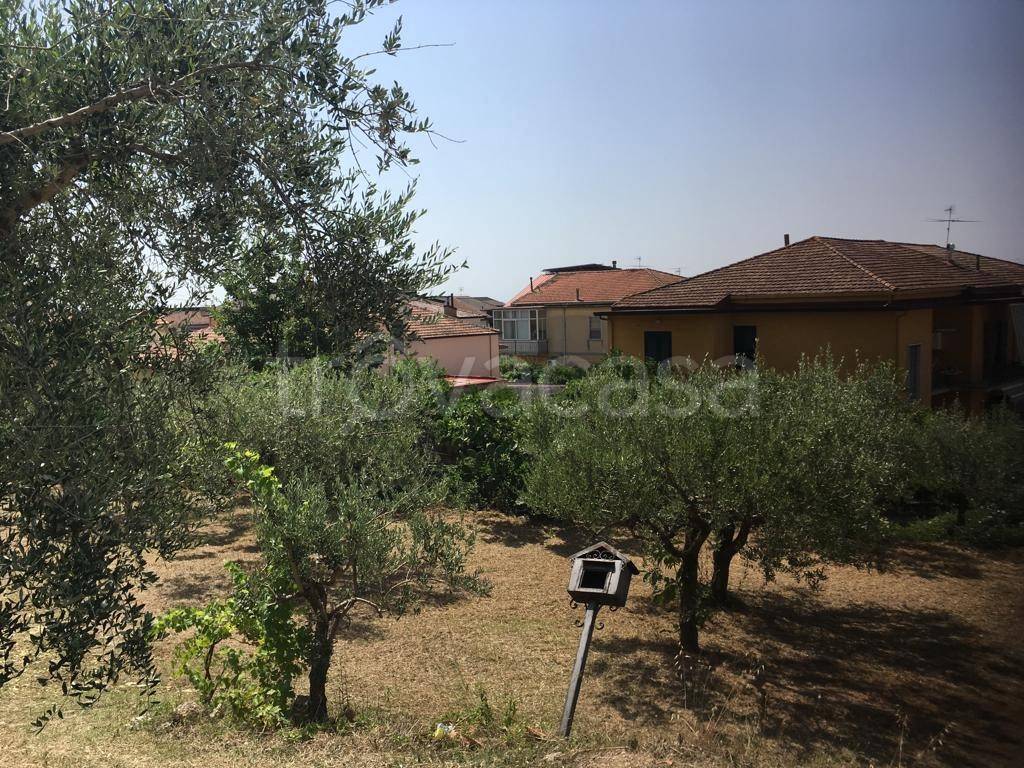 immagine annuncio 13 di 14
