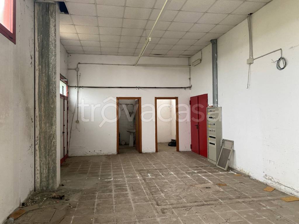 immagine annuncio 7 di 14