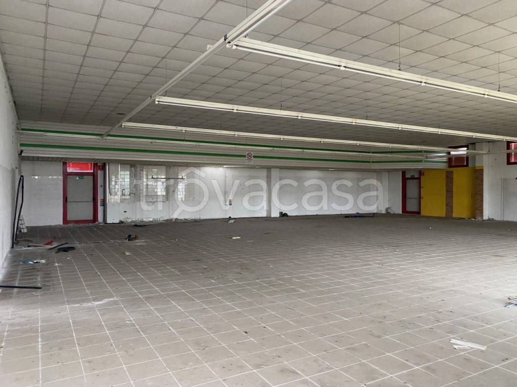 immagine annuncio 8 di 14