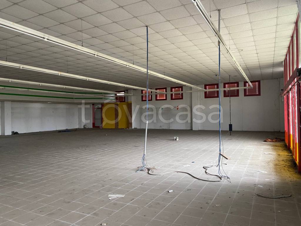 immagine annuncio 9 di 14