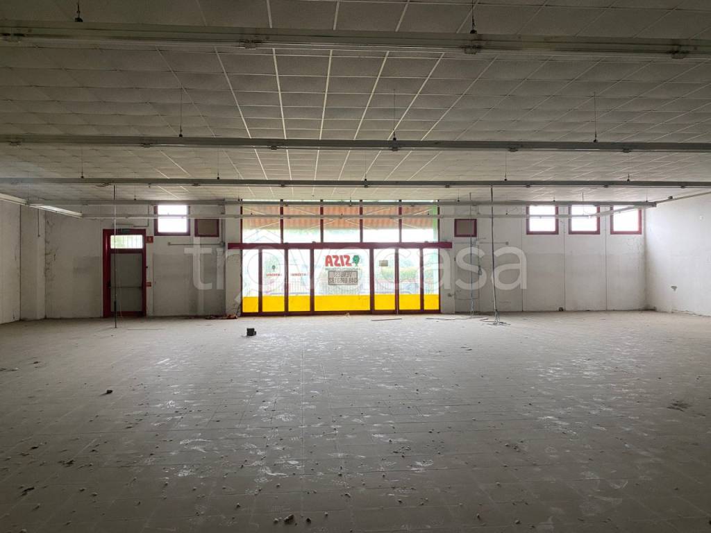 immagine annuncio 10 di 14