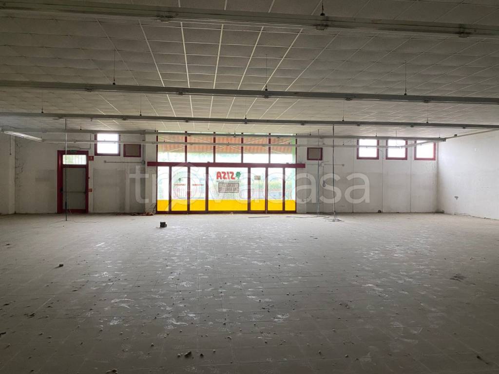 immagine annuncio 11 di 14