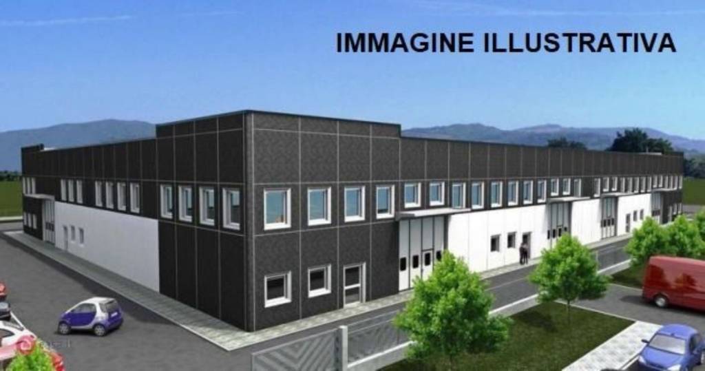 immagine annuncio 5 di 13