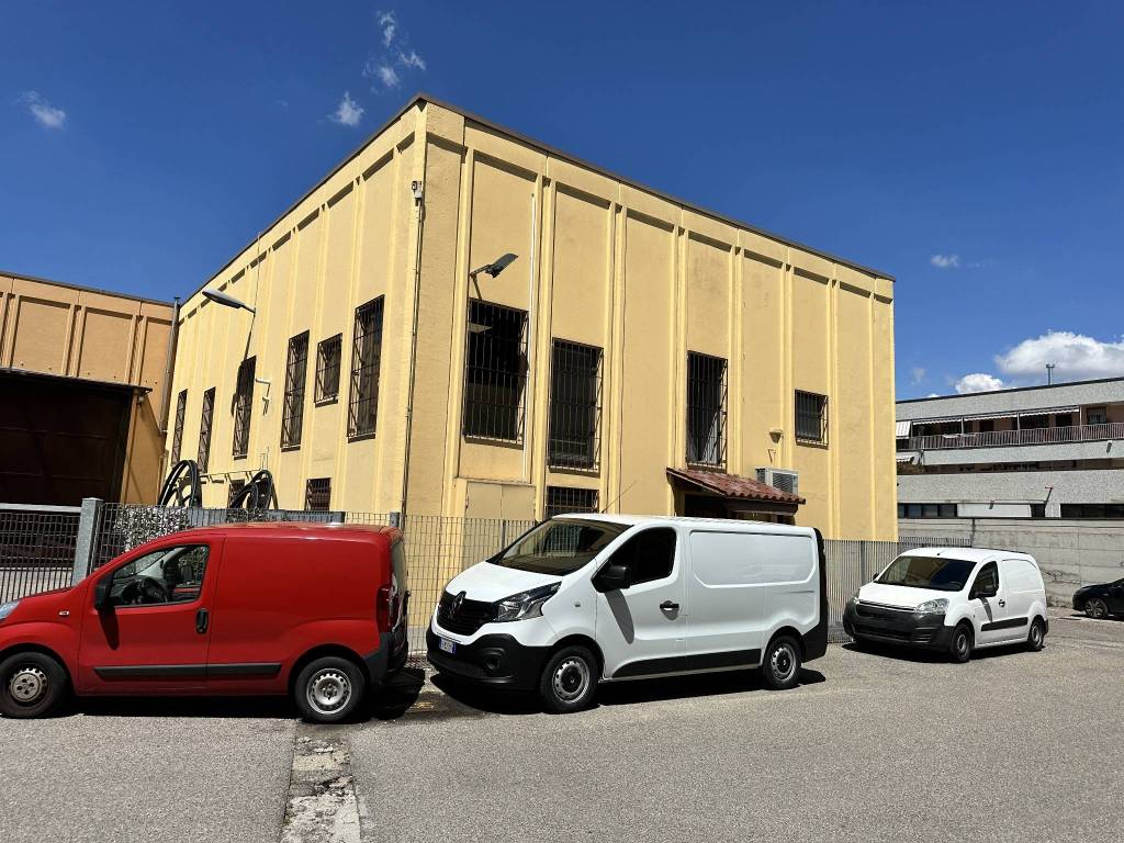 immagine annuncio 2 di 11