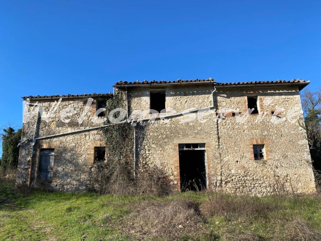 immagine annuncio 8 di 12