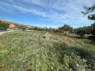 Terreno agricolo in vendita a palermo via luoghicelli