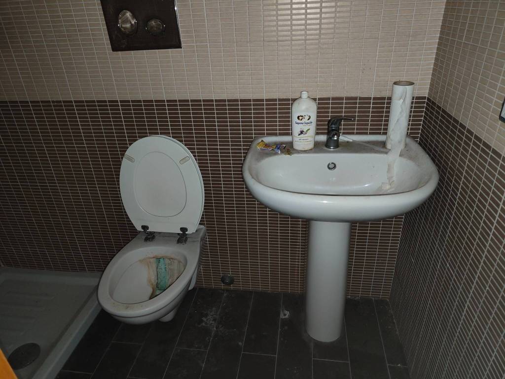 immagine annuncio 5 di 12