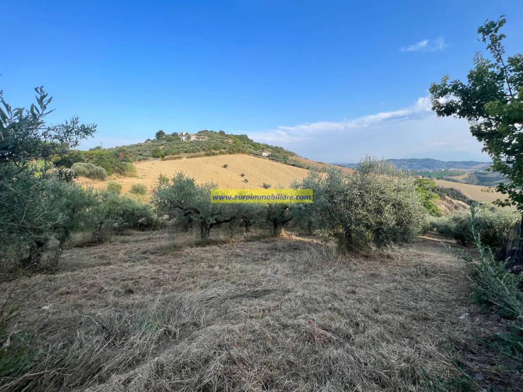 immagine annuncio 9 di 13